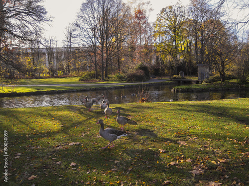 Autunno all'Englisher Garten, Monaco di Baviera