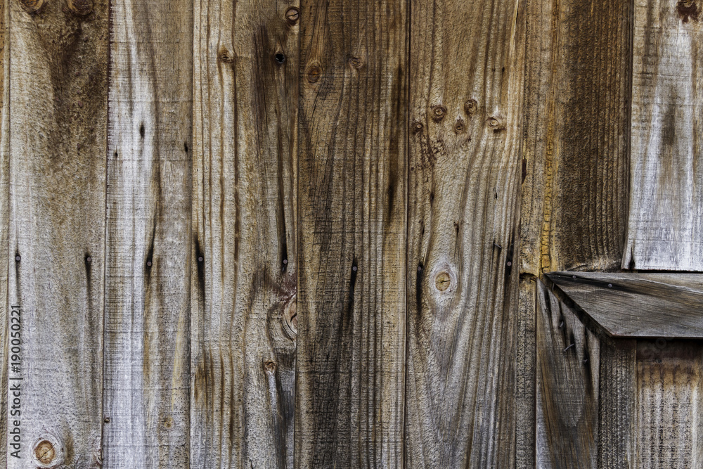 Obraz premium Wood surface for the background.