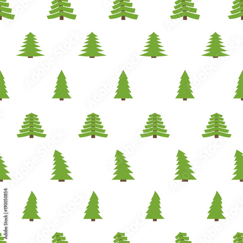 Seamless pattern with spruces on white background. Vector illustration  