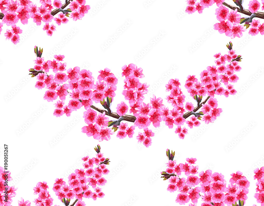 Sakura. Two branches with delicate lush purple flowers and cherry buds. Seamless without mesh and gradient. illustration
