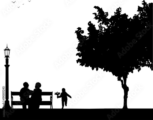 The grandson runs by carrying the bouquet of flowers grandmother and grandfather, one in the series of similar images silhouette
