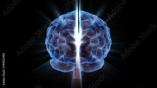 Brainstorm 104: A rotating human brain electrically charged with thought (Loop).