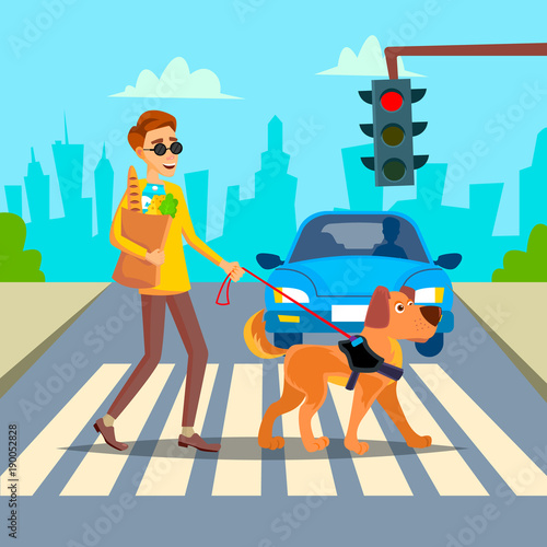 Blind Man Vector. Young Person With Pet Dog Helping Companion. Disability Socialization Concept. Blind Person And Guide Dog On Crosswalk. Cartoon Character Illustration