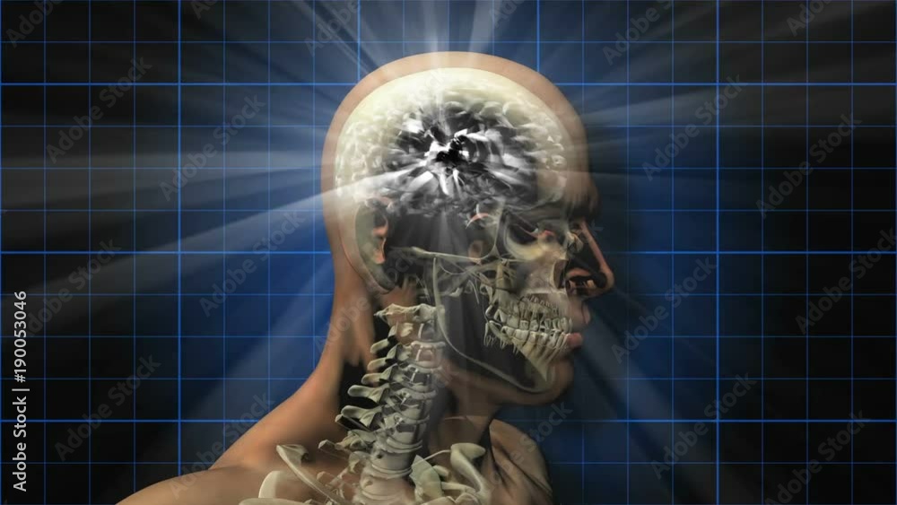 Brainstorm 103: A rotating human skull and brain electrically charged with thought (Loop).