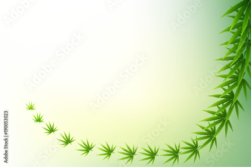 green cannabis leaf drug marijuana herb