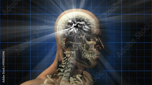 Brainstorm 103: A rotating human skull and brain electrically charged with thought (Loop).