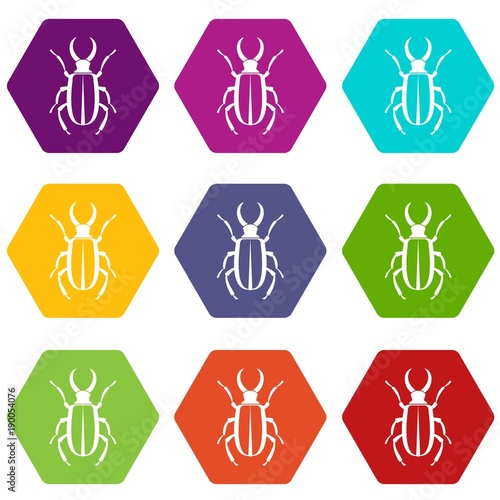 Lucanus cervus icon set color hexahedron