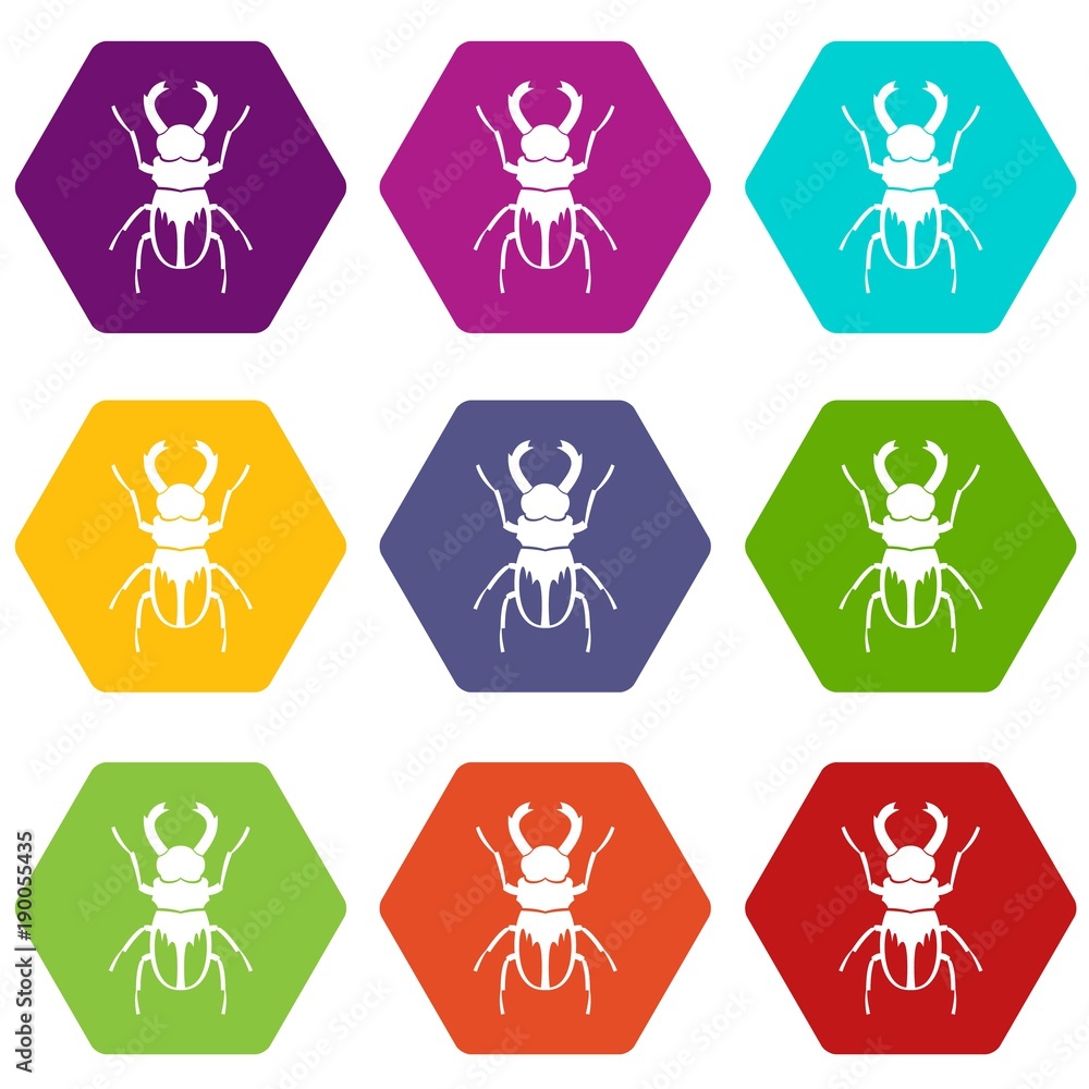 Rhinoceros beetle icon set color hexahedron Rhinoceros beetle icon set color hexahedron