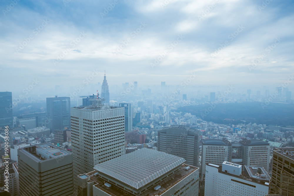Obraz premium 東京・新宿・都庁より・霧