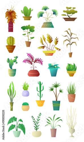 Cartoon style collection Plants in Pot. Floral Decoration Interior for Home, Hotel or Office. Vector illustration of stylized office Plants