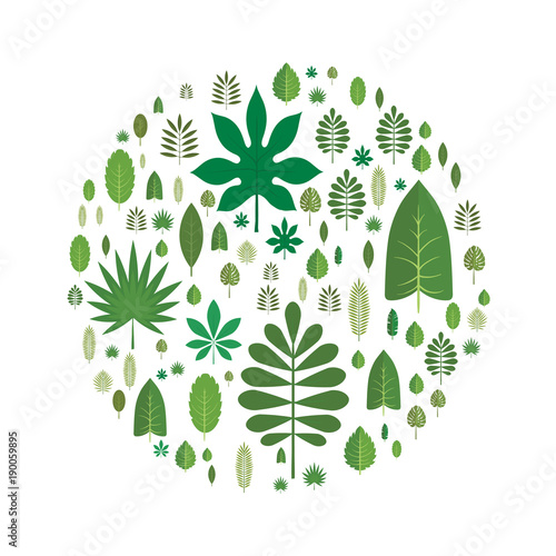The leaves of different trees arranged in the shape of a circle. Design element, vector illustration, isolated on white background.