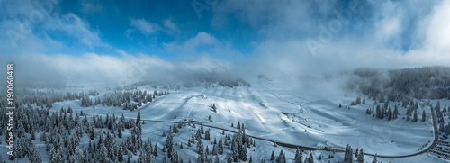 Fresh snow fall on the trees and forests of the Swiss Jura Mountains