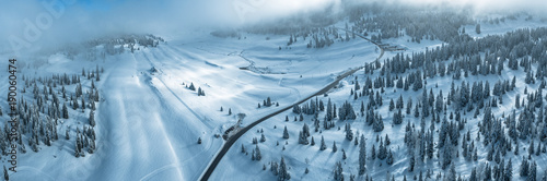 Fresh snow fall on the trees and forests of the Swiss Jura Mountains