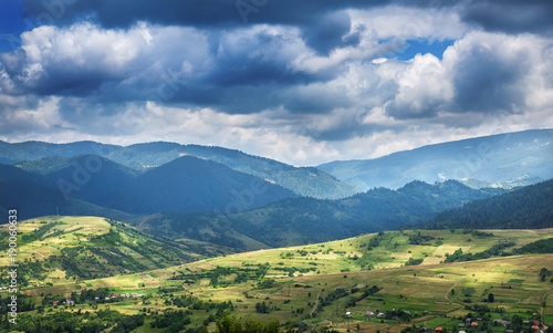 Trees on the mountain. Carpathian, Europe.