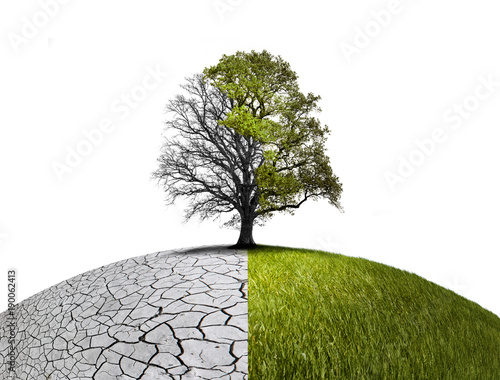 Natur im Wandel