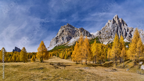 Tree, meadow and Monte Lagazuoi