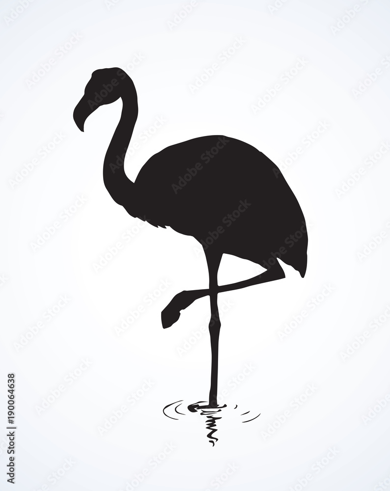 Fototapeta premium Flamingo. Vector drawing