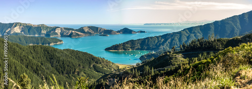 Queen Charlotte Sound in New Zealand photo