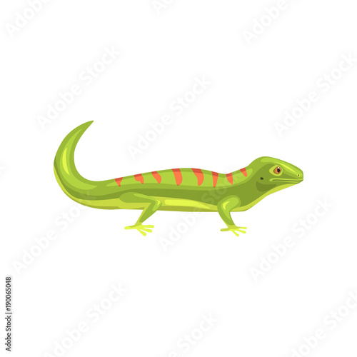 Lizard, amphibian animal cartoon vector Illustration