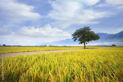 Bolang Dadao, Taiwan's most beautiful road, Taitung, Taiwan photo