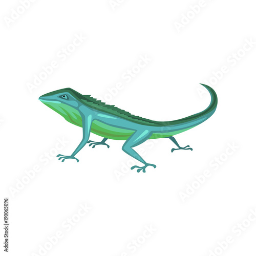 Salamander, amphibian animal cartoon vector Illustration © topvectors