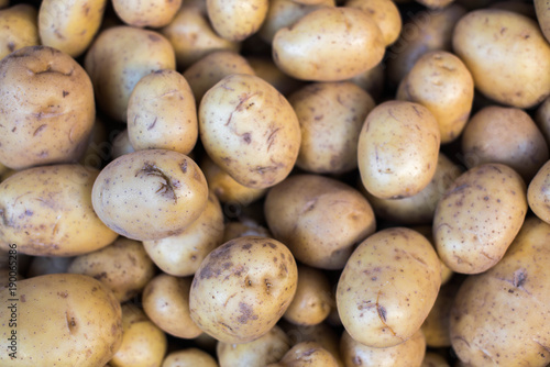 Świeże ziemniaki © annakacper