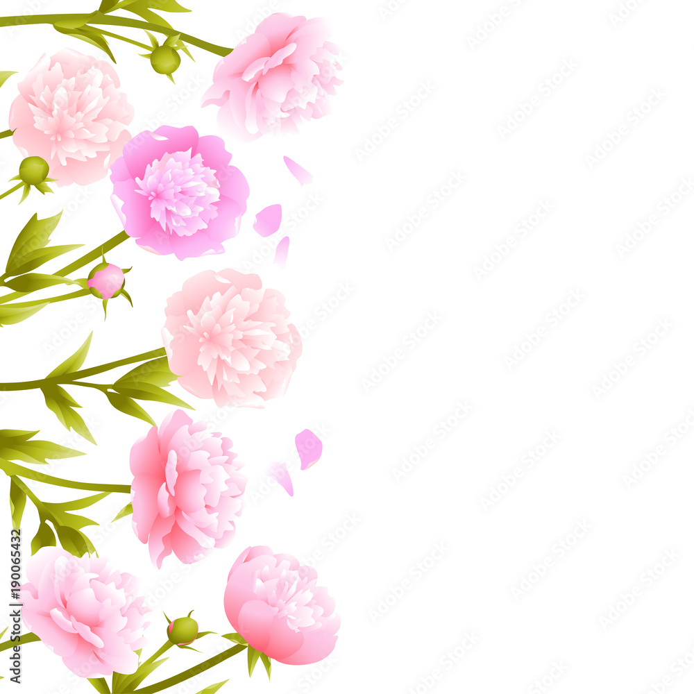 Peonies. Pink flowers. Flower pattern. Frame. Border. Vector illustration. Spring plants. Card. Peonies. Pink flowers. Flower pattern. Frame. Border. Vector illustration. Spring plants. Card.
