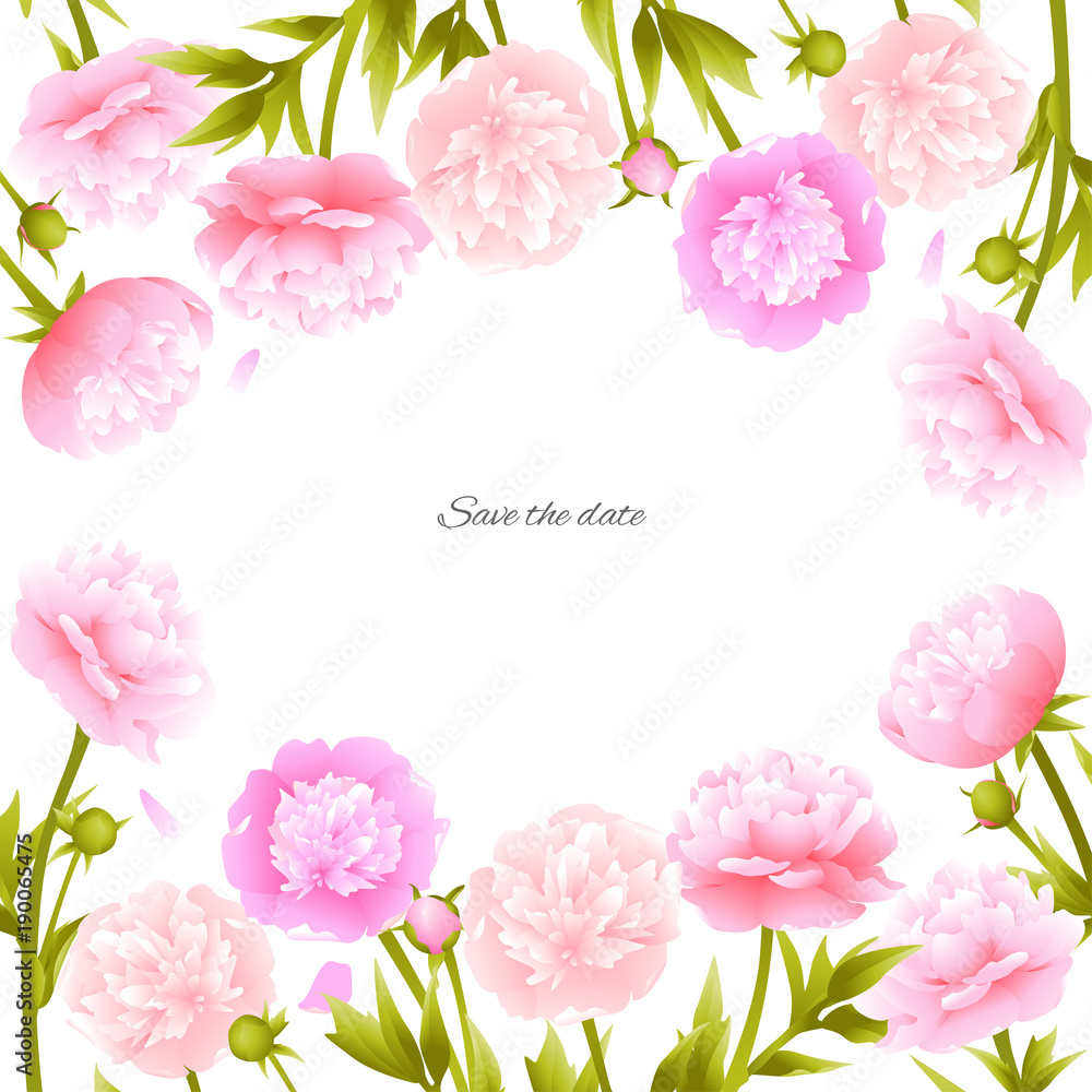 Peonies. Pink flowers. Flower pattern. Frame. Border. Vector illustration. Spring plants. Card.