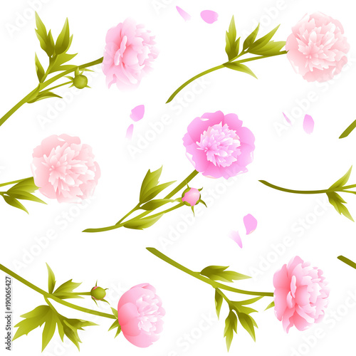 Fototapeta Naklejka Na Ścianę i Meble -  Peonies. Pink flowers. Seamless floral pattern. Vector illustration. Spring plants.