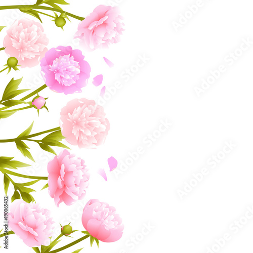 Peonies. Pink flowers. Flower pattern. Frame. Border. Vector illustration. Spring plants. Card.