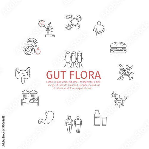 Gut flora. Line icons set. Vector signs