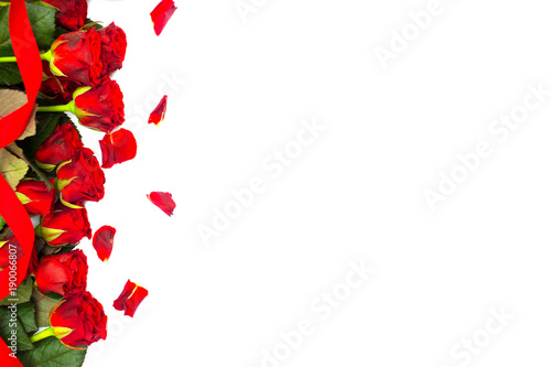 Red roses with leaves and thorns on a white background. Romantic day card for lovers