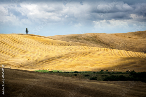 Val d 'Arbia, Tuscany. Hills designed as huge rugs after the harvest. Siena, Italy photo
