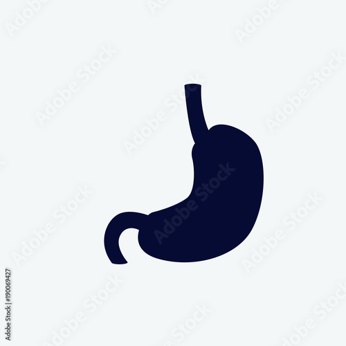 stomach icon Vector illustration. organ icon vector