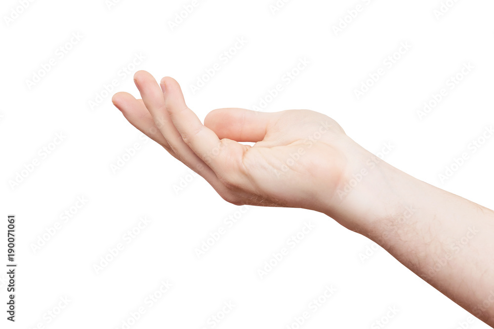 Closeup empty male hand making holding gesture isolated at white background. Closeup empty male hand making holding gesture isolated at white background.