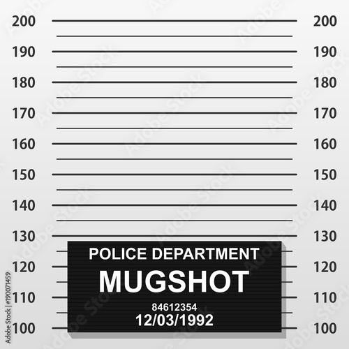 Criminal mug shot line. Police mugshot add a photo. Blank criminal police lineup with centimeter scale for photograph. Vector illustration