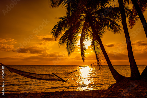 Silhouette of hammock and palm trees on a tropical beach at sunset, Fiji