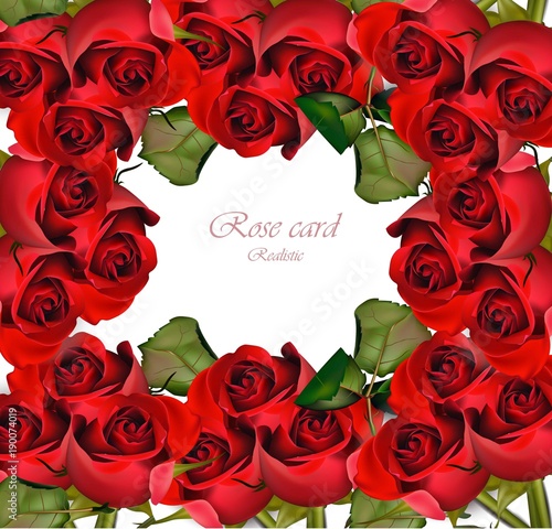 Red Roses card Vector. Valentine day romantic illustrations