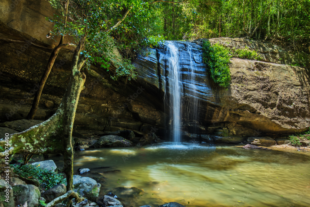 Fototapeta premium Serenity Falls and swimming hole in Buderim Forest Park, Sunshine Coast, Queensland, Australia