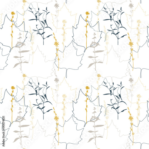 Summer flowers, herbs and leaves floral vector seamless pattern. Realistic botanical background with hand drawn chicory flowers, maple leaves and herbal grasses.
