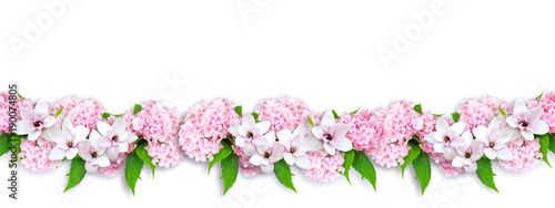 Magnolia and hortensia isolated on white background