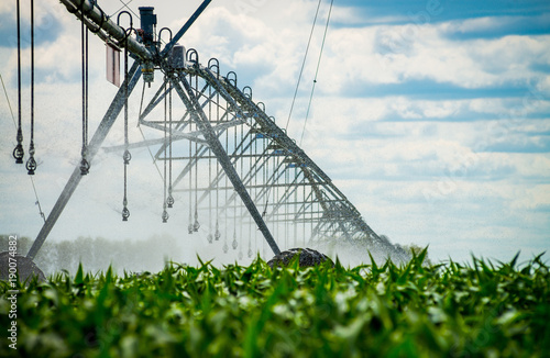 Картината върху платно An irrigation pivot watering a field