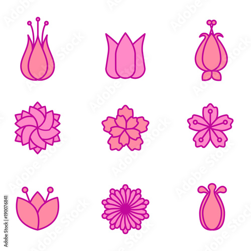 flower lineart set