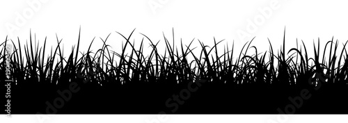 Black grass silhouette, seamless illustration. Meadow border