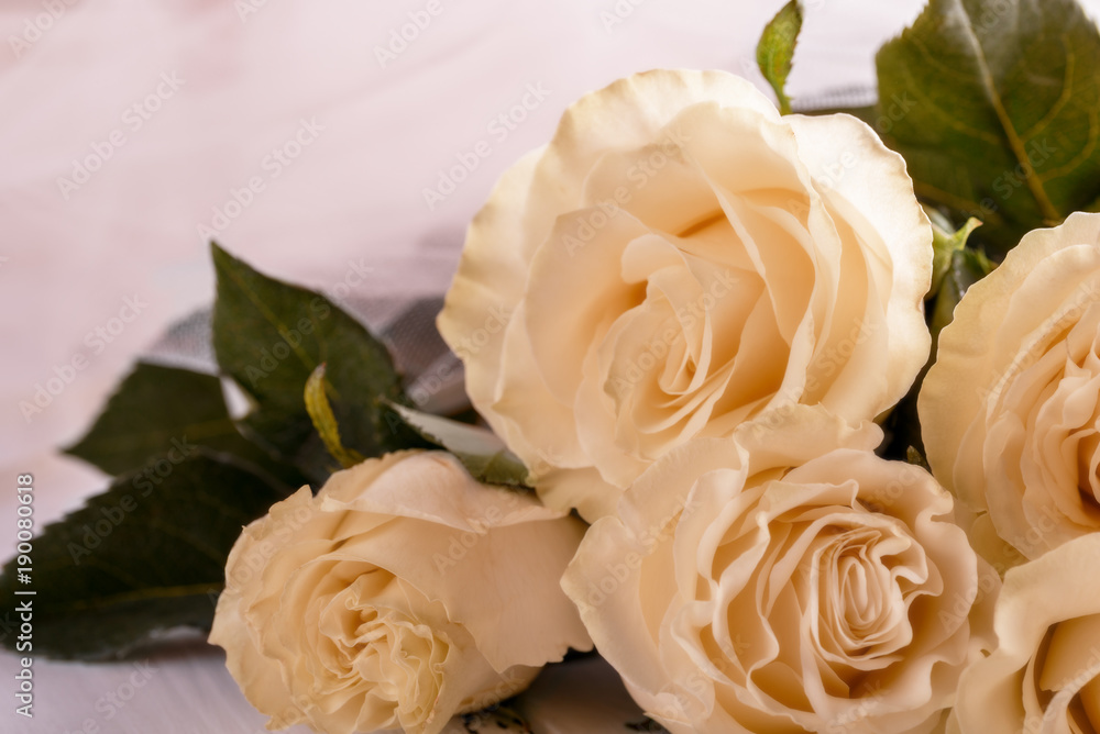 Bouquet of light roses on a light background Bouquet of light roses on a light background