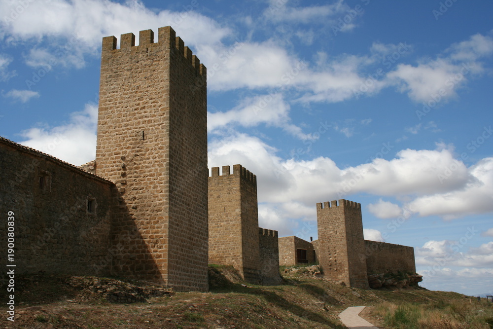 Artajona cité médiévale forteresse rempart Navarre