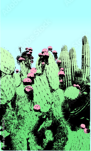 sukkulente, cactus, kaktus, kakteen, blüte, frucht, palme, palmblatt, blätter, stachel, wüste, californien, mexiko, süden, sommer, western, silhouette, pastell, farben, hell, licht, fleischig, wasser,