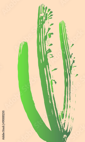 sukkulente, cactus, kaktus, kakteen, blüte, frucht, palme, palmblatt, blätter, stachel, wüste, californien, mexiko, süden, sommer, western, silhouette, pastell, farben, hell, licht, fleischig, wasser,