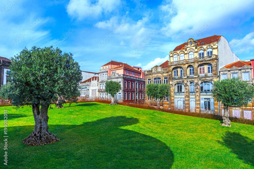 Old olive trees and green grass lawn on foreground and old houses. City of Porto, in Portugal.
