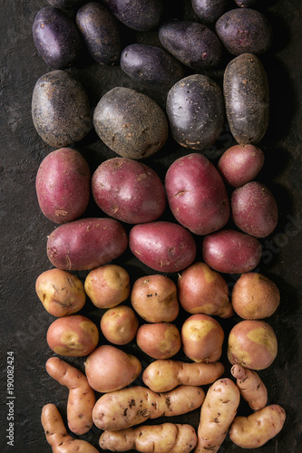 Variety of raw uncooked organic potatoes different kind and colors red, yellow, purple in row over dark texture background. Top view, close, up